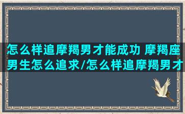 怎么样追摩羯男才能成功 摩羯座男生怎么追求/怎么样追摩羯男才能成功 摩羯座男生怎么追求-我的网站